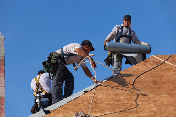 Best New Roof Installation  in USA